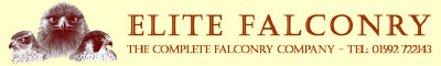 elite